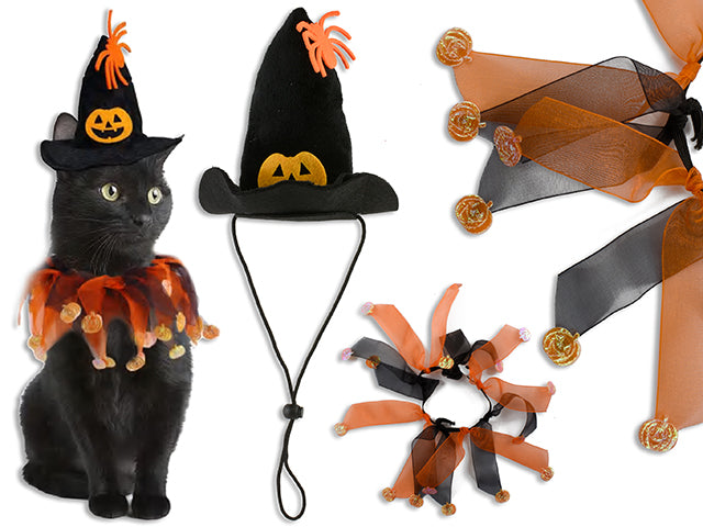Halloween Pet Costume Set