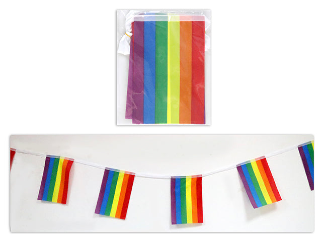 Pride Rainbow Banner With Flags