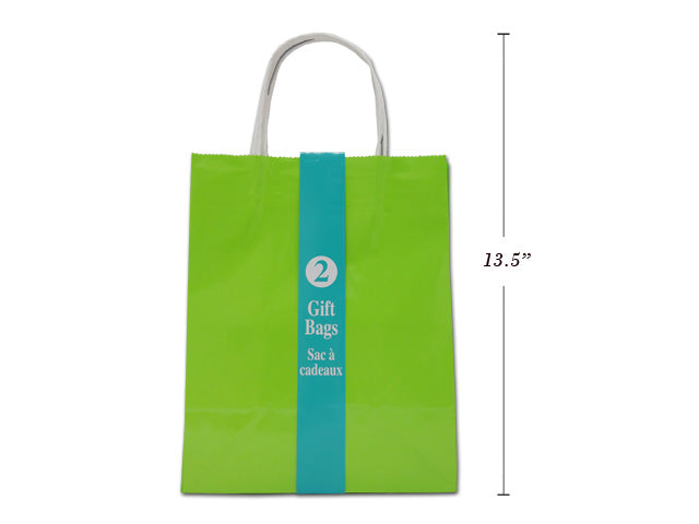 2Pk Glossy Solid Col. Medium Plus Bag W- Twisted White Paper Handle - Lime Green. Paperband