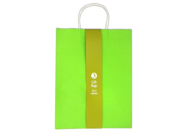 3Pk Large Solid Colour Kraft Paper Bag - Green W- White Paper Twisted Handle. Paper Band