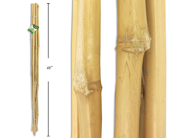 Bamboo Plant Stakes