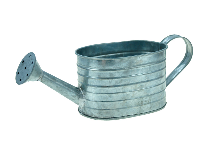 9.5in(L) x 3- 1/8(H) Mini Galvenized Watering Can