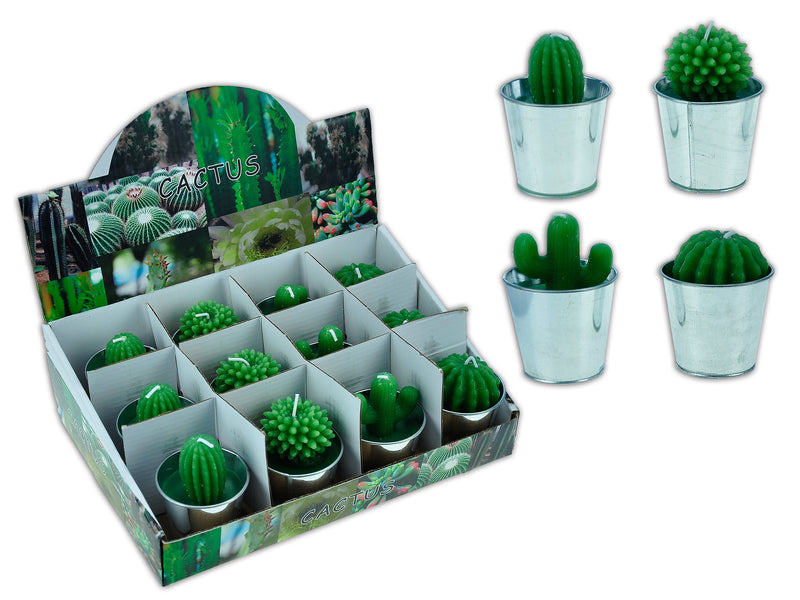 2-3-8in(D) 3D Cactus Candle in Tin Planter. 4 Asst.