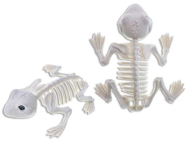 6.7in(L) x 5.5in(W) Hween Decor Skeleton Frog. Cht.