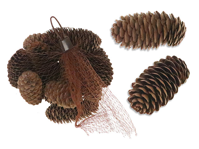 15pk 3.75in Natural Tall Pine Cones. Meshbag w/Cht.