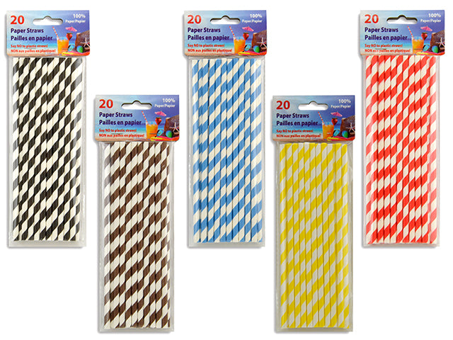 Swirl Paper Straws 20 Pack