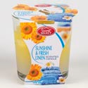 2 In 1 Scented Candles Sunshine And Fresh Linen