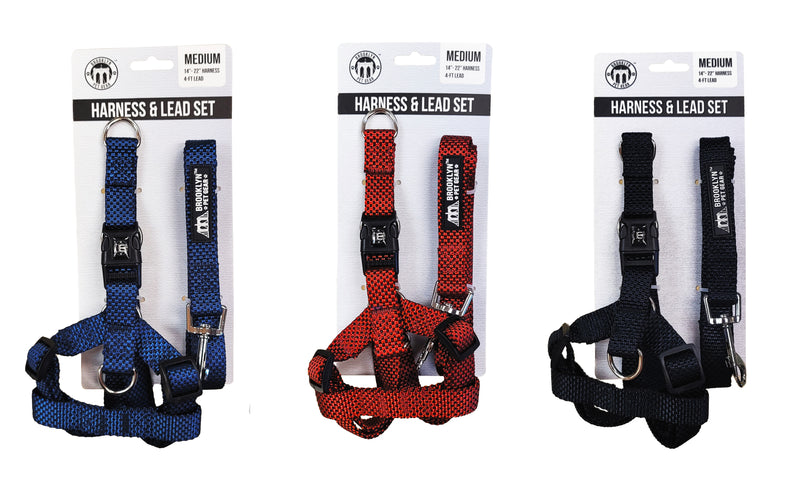 Harness And Lead Set Medium