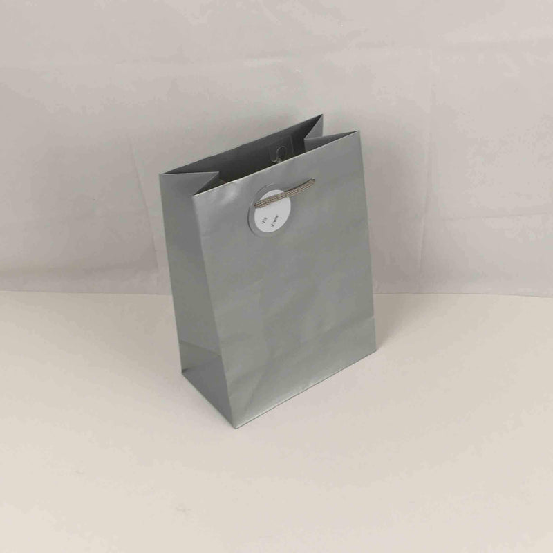 Matte Silver Medium Bag