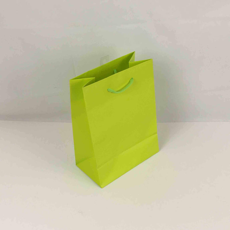 Matte Apple Green Medium Bag