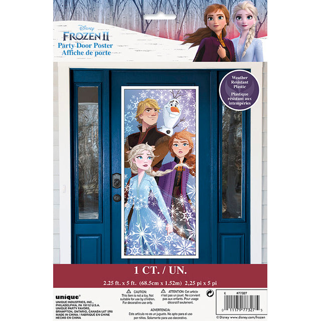 Frozen Door Poster