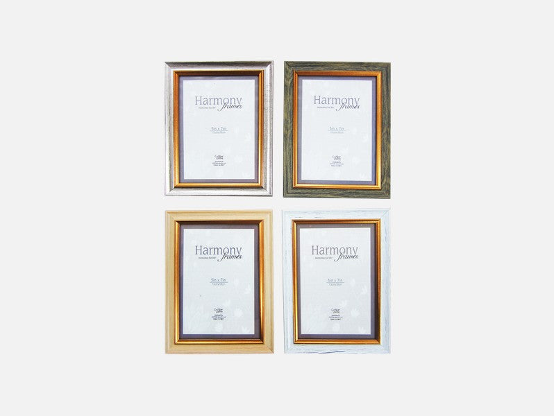 Picture Frame Classic Series Large 1