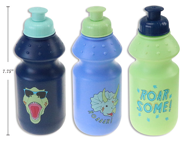 Boys Dinosaur Sipper Water Bottle