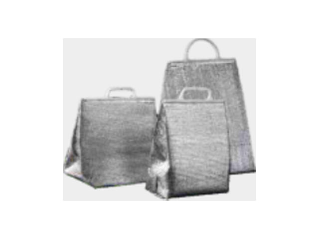 Insulated Aluminum Cooler Bag Small