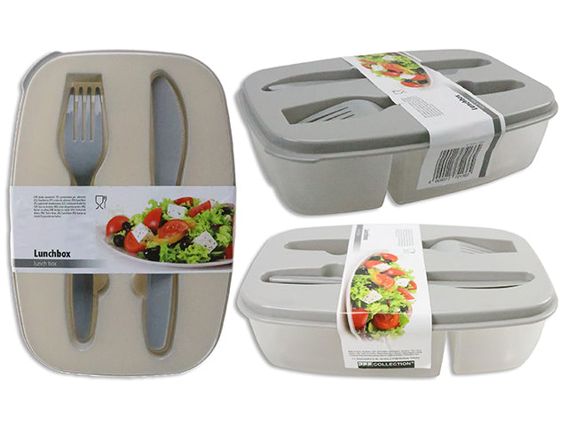 Plastic Picnic Container With Lid Fork And Knife