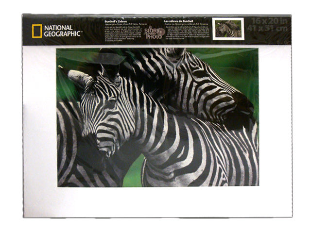 National Geographic Bushels Zebras Print
