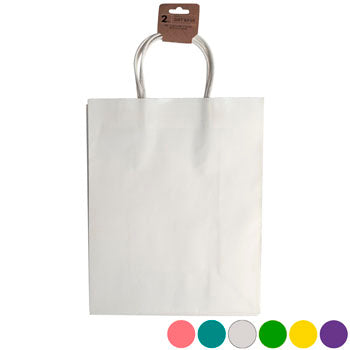 Assorted Colors Large Gift Bag