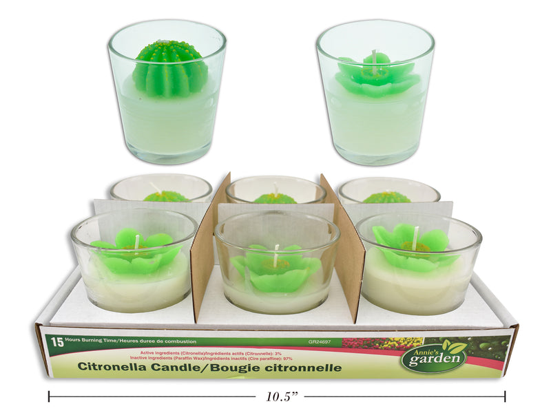 3D Cactus Succulent Citronella Candle In Glass Jar