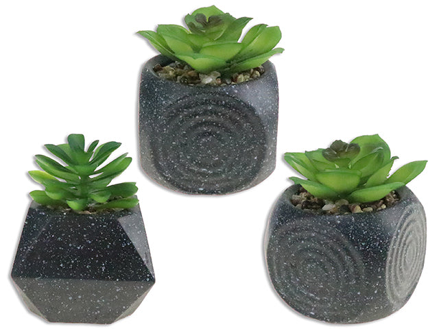 Artificial Succulent In Speckled Black Geometric Cement Planter