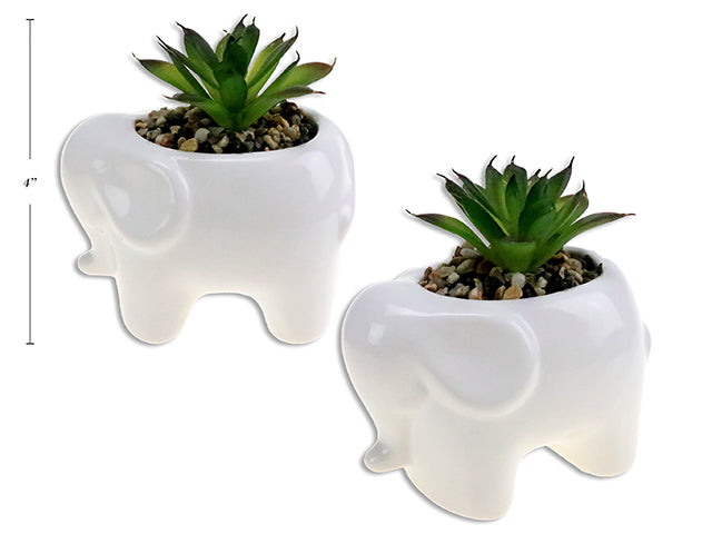 Artificial Succulent In White Dolomite Elephant Planter