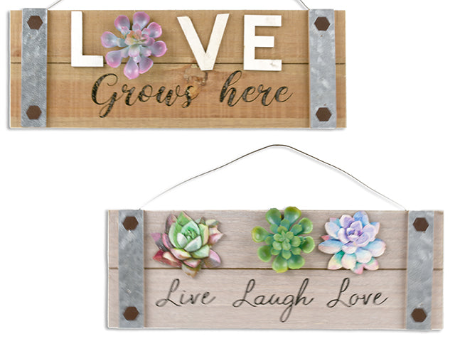 3-D Succulent 2-Layered Hanging Mdf Wall Plaque W/ Galvanized Trim. Metal Hanger. 2 Asst. Cht.