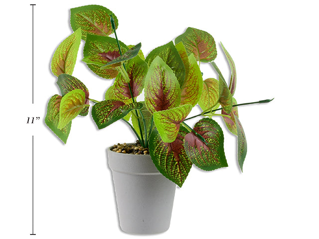 11in Artificial Leaf Plant in Plastic Pot. Cht.
