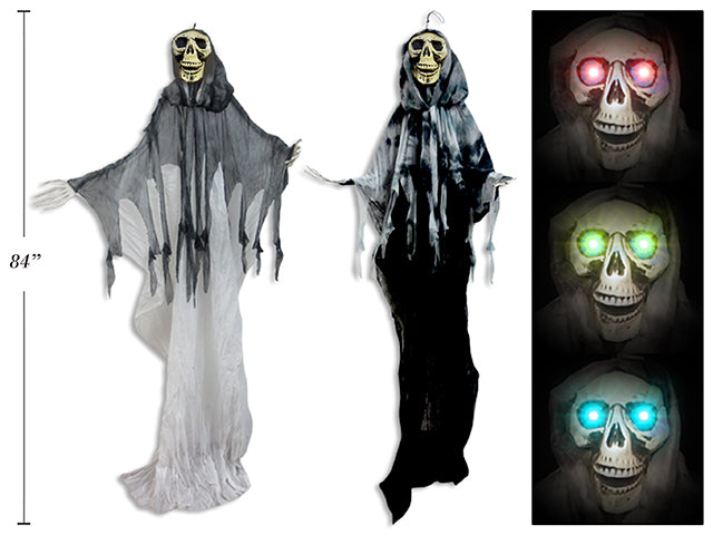 Color Changing Led 2 Layer Plastic Skeleton