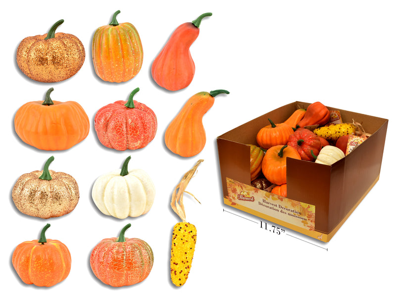 Harvest Pumpkin Gourds Corn Assortment