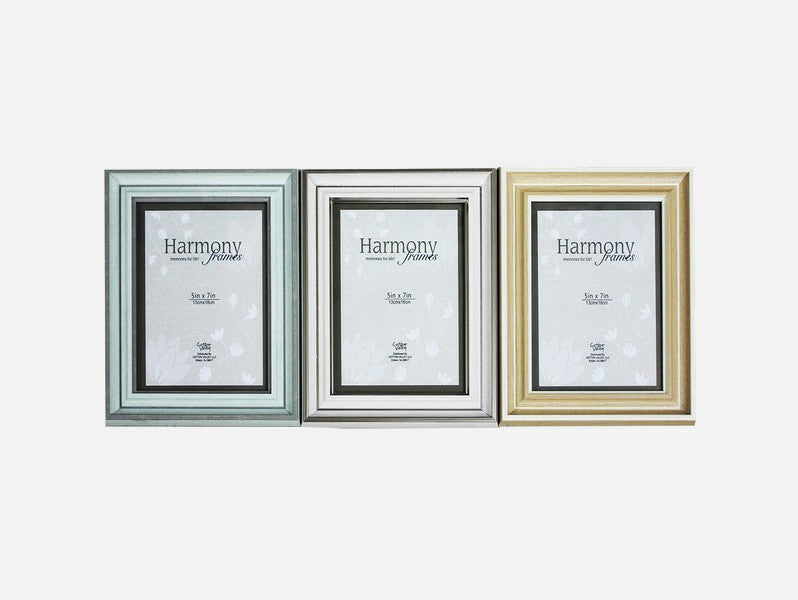 Picture Frame Classic Series Large 3