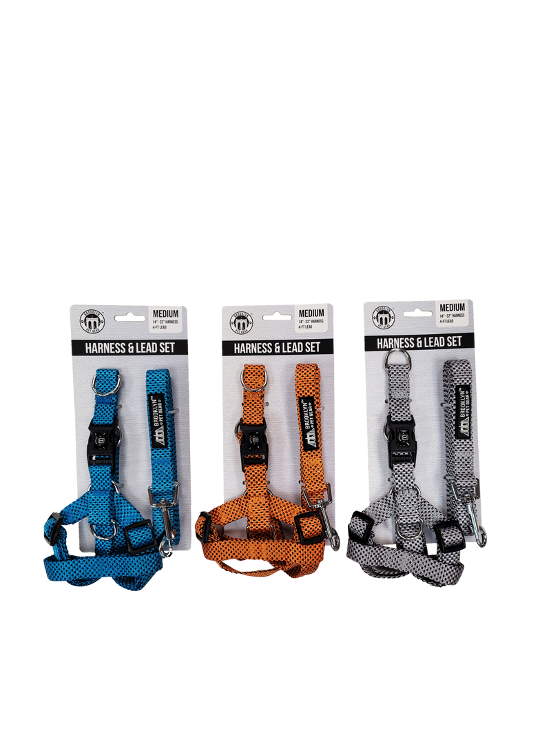 Harness And Lead Set Medium